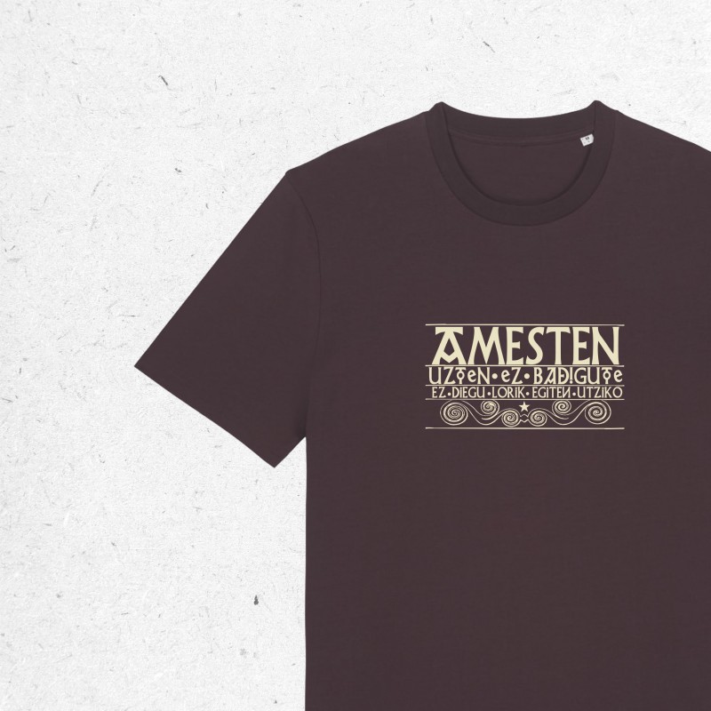 TEE-SHIRT AMESTEN - UNISEXE