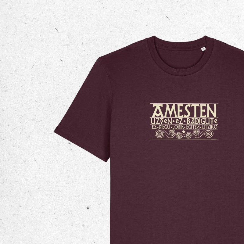 CAMISETA AMESTEN - UNISEX